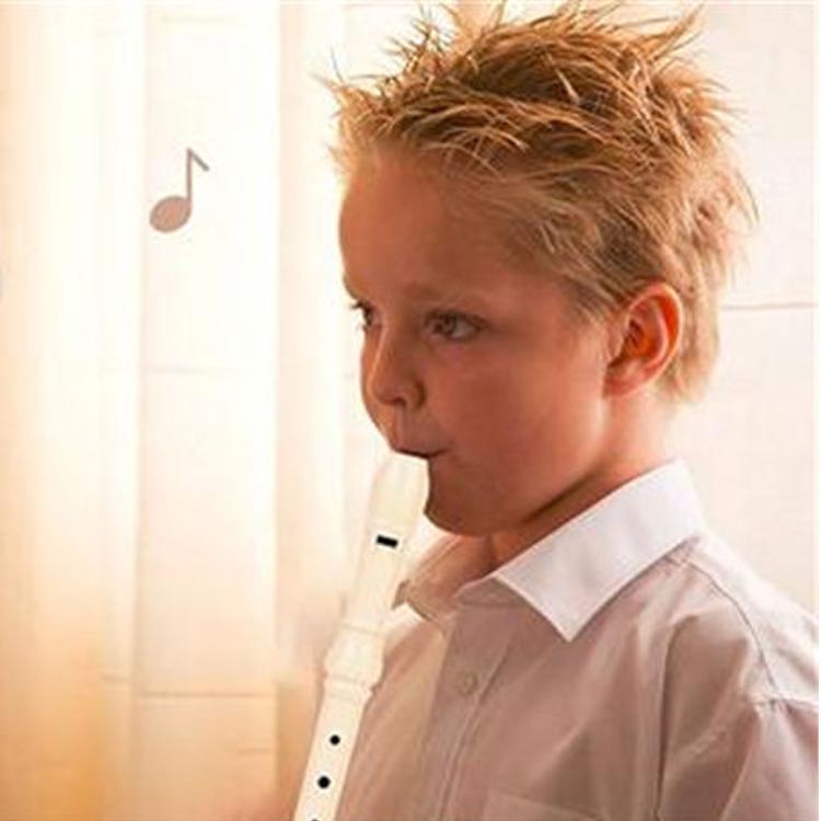 Soprano Descant Recorder 8 hull med rensestang Saksinstruksjon