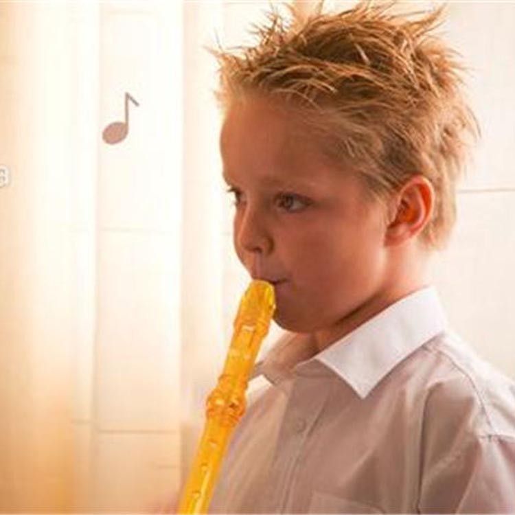 Soprano Descant Recorder-8 hullfløyte med / rengjøringsstangposeinstruksjon